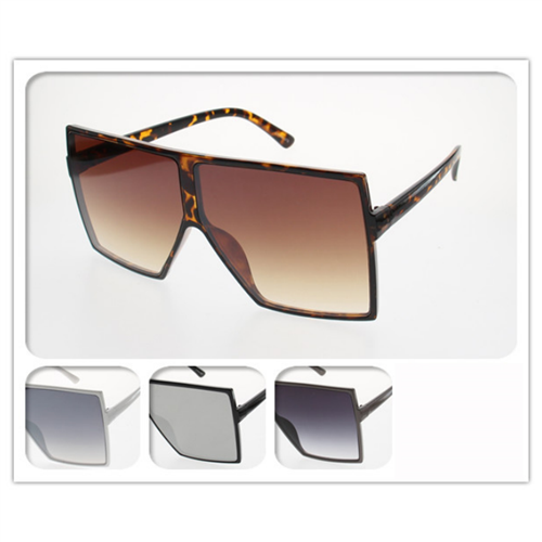 COLOR SUNGLASSES / J 2574 P